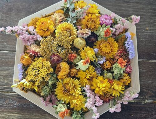 The Art Room Flowers